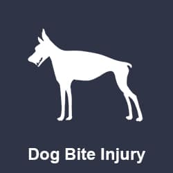 Dog Bite Injury Icon